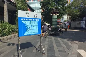 八百人合力共管 西湖景区共享单车长假首日井井有条图片