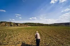 「原创」农村土地集体所有承包制的发展优势研究图片