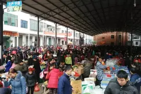 在外生活的湖南人：“回不去的名字叫家乡”图片