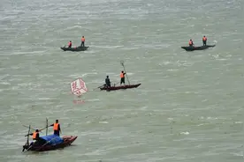 最大的60斤！丹江口大坝泄洪，市民争相捕捞撞昏大鱼图片