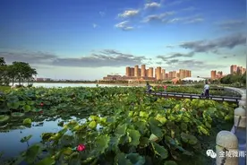 砥砺奋进的五年｜板桥新城华丽转身图片