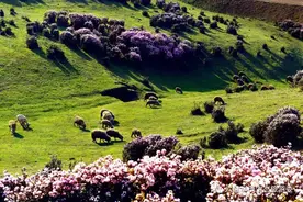 国庆期间，盘州市全域旅游新业态吸聚高人气图片
