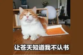 驾考新规难度升级啦！考试难点都有哪些呢？图片