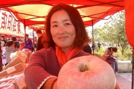 一个苹果重达1斤3两多 平度旧店选出最大苹果图片