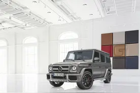 梅赛德斯AMG G63/65特别版官图图片