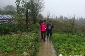 秋季攻势｜苟明利调研习水农村危房改造推进情况图片