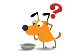 广东话百科：点解图片