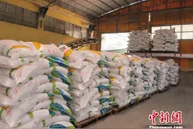 “鸡粪”被变废为宝 广东云浮绿色有机肥首次供港图片