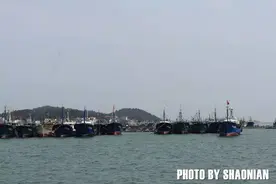 江湖有碗海鲜粥图片