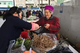 武隆白云乡：野生干竹笋错峰上市 广受市民朋友青睐图片