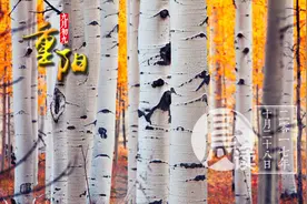 晨读 | 老用户不能转手机套餐？工信部发话了图片