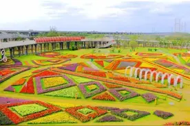 「提示」本周三起，浦江郊野公园开闭园时间调整！图片