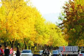 威海冷空气造访 毛衣这样穿保暖又美观图片