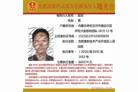 「执行曝光」合肥高新区法院失信被执行人曝光台（45）图片