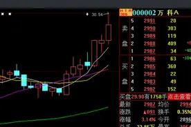 靓丽业绩！ 万科“大象”起舞 股价再创历史新高图片