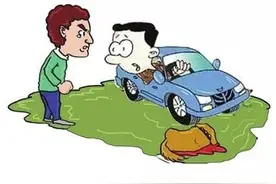 「以案说法」宠物狗被汽车撞伤，赔偿怎么算？图片