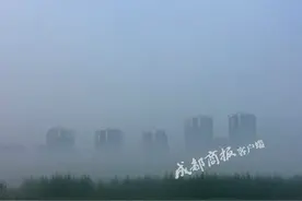 最新消息！今早受大雾影响的高速已全部开通放行！图片