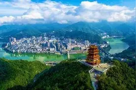 何金铭专栏｜紫阳蒸盆子图片