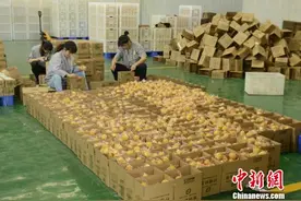 重庆潼南小小柠檬变出“大花样”图片