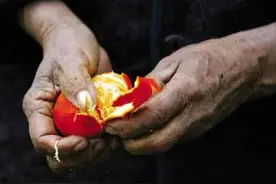 聊吧︱80岁奶奶上街捡橘皮，家人既心疼又无奈图片