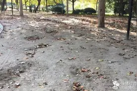 淄博人民公园的滑梯为啥拆了？图片