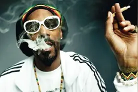 狗爷贩毒遭影帝华盛顿逮捕,Rap大佬史努比狗狗最搞笑的龙套表演！视频封面