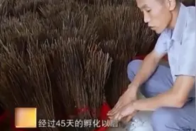 养殖科技195：金蝉，幼虫（若虫）的放养方法视频封面