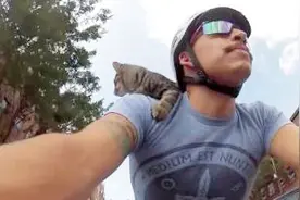 主人骑行的时候猫咪乖顺地趴在主人肩头视频封面