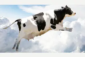 女朋友说我是送牛奶的 放门口就走了