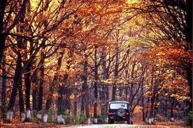 救护车第一视角深夜出警-国外视频封面