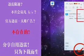 不开会员，迅雷的下载速度能够提高吗？来看看我的视频封面