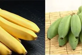 园林芭蕉貌美，不过到底味道如何？|你知道芭蕉和香蕉的区别吗图片