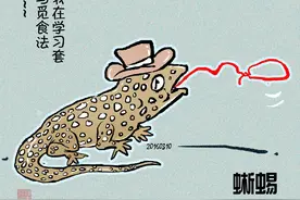 曾潮波动物漫画：如可能下个轮回我要做只痴睡也没人嫌的考拉图片