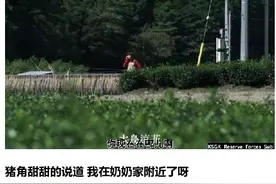 图解日本悬疑短片《亲情》漆黑的夜诡异的气息中弥漫着恐惧...图片