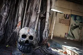 大家都是食人族的后代，现在竟有人心甘情愿被食用图片