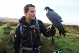 Bear Grylls 站在食物链顶端的猛男图片