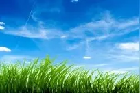 震惊震惊。。。你的梦都预示着什么？图片