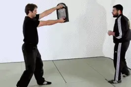 扫腿侧踢精髓，分分钟钟变成飞毛腿图片