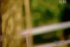 看看德国人是怎样制作购物车的！这技术真心没话说！图片