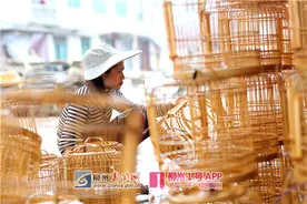 做鸟笼做到千万身家，柳江这个村太牛了图片