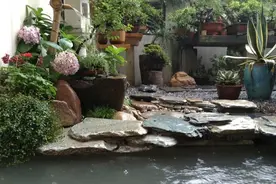 在合肥，有这样一群人独享着他们的世外桃源图片