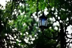 旋焦，据说是装B利器......图片