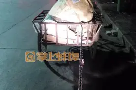 蚌埠：一个收废品的大叔深夜做出了一个惊人举动！你想不到！图片