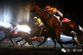 全球最贵“迪拜赛马世界杯”直播网址来啦！图片