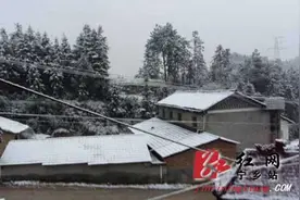 宁乡三月飘雪 最低气温可降至至0℃图片
