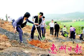 惠阳区良井大白岭公园添绿5000多株图片