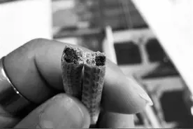 海龙体内含铁粉?市民食用后腹痛投诉药店图片