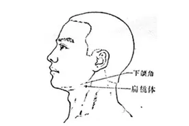 扁桃穴穴位的准确位置图图片