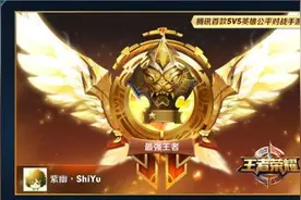 王者荣耀青铜怎么上王者 青铜上王者攻略心得图片