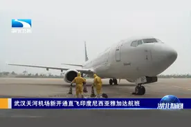 祝贺！武汉直飞雅加达航线成功首航！视频封面